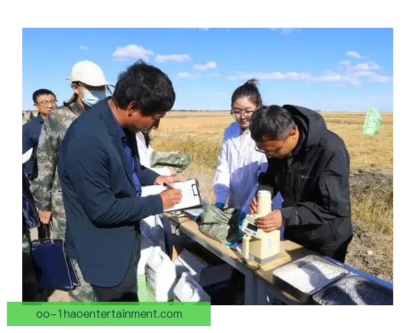 快速掌握欧协联赛程的高效方法与实战技巧全指南解析与应用策略 快速掌握欧协联赛程的高效方法与实战技巧全指南解析与应用策略